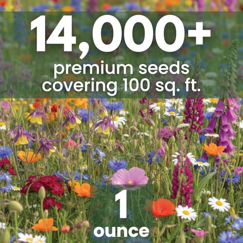 Best Pollinator Garden Seed Mix 2026