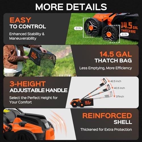 Best Lawn Dethatcher Electric 2026
