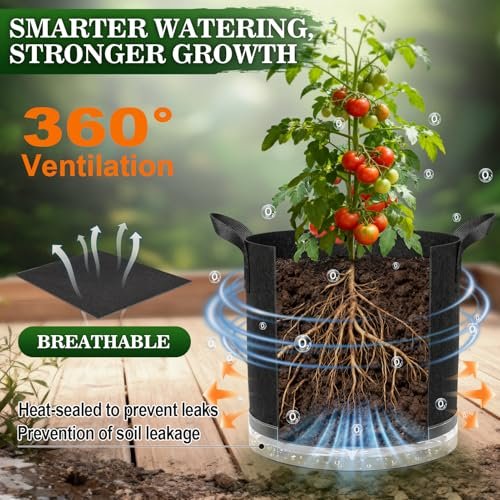 Best Self Watering Planter