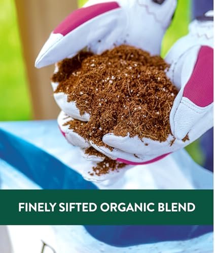 Best Potting Mix For Herbs