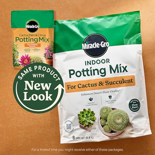 Best Potting Mix For Succulents 2026
