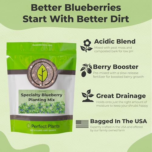 Best Soil For Blueberries Raised Bed