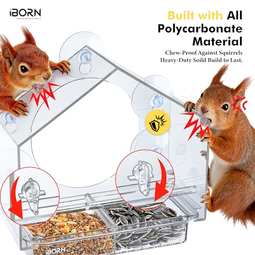 Best Bird Feeder For Small Birds 2026