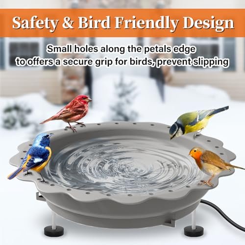 Best Bird Bath Heater