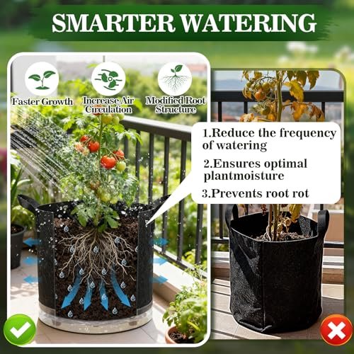 Best Self Watering Containers