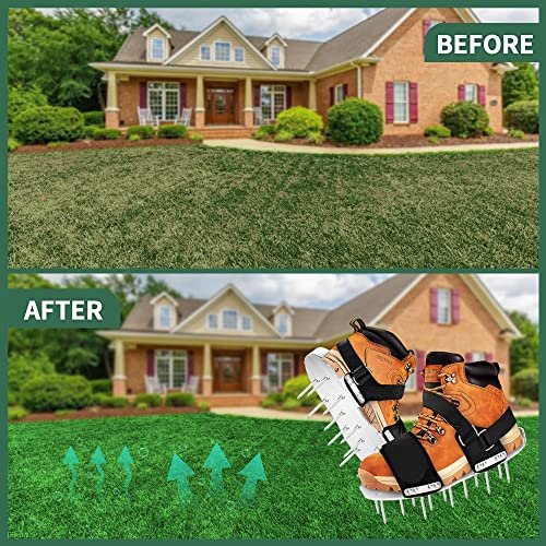 Best Spike Aerator Shoes