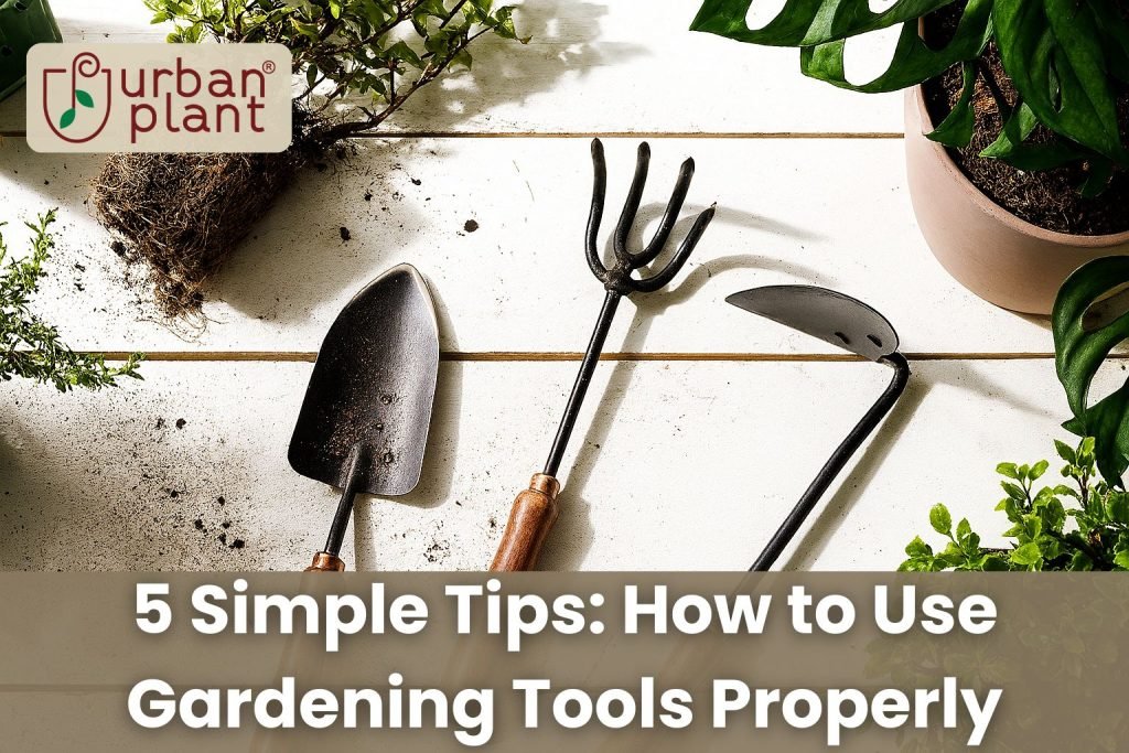 How To Use A Garden Hoe