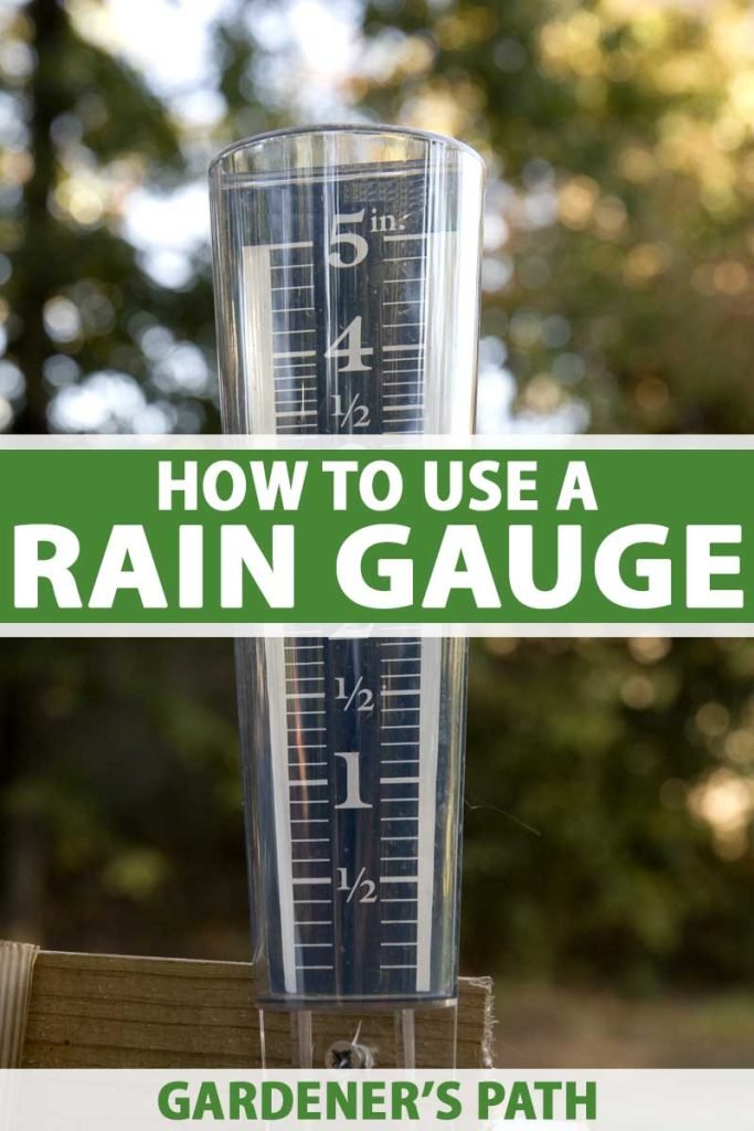 Set Up Rain Gauge