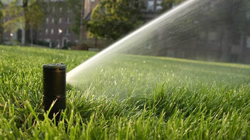 How Many Minutes To Run Sprinkler