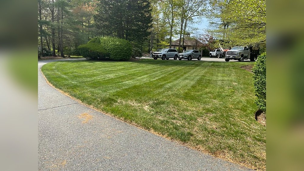 Does Overwatering Cause Brown Patches Lawn