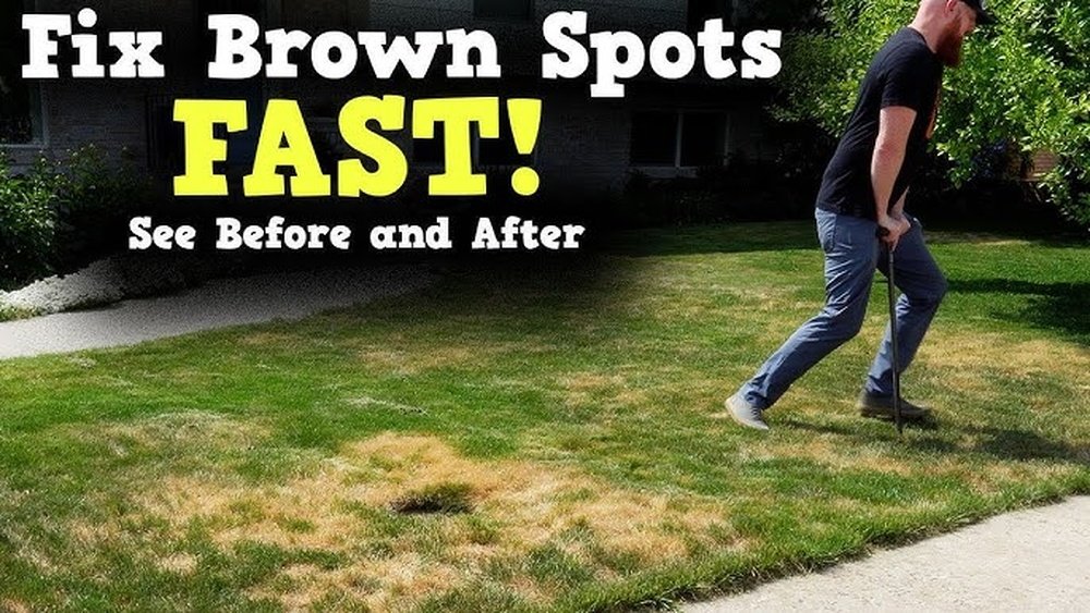 How to Fix Brown Spots in Lawn Quickly