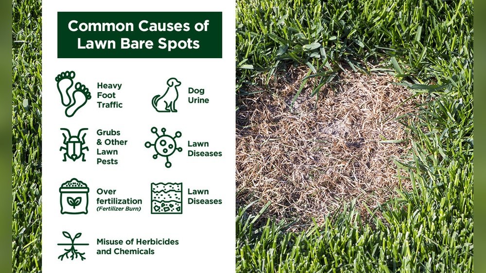 How to Fix Lawn After Heavy Foot Traffic