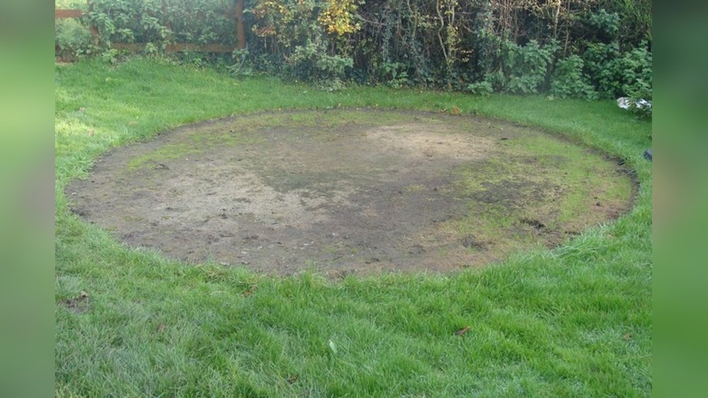 How to Fix Lawn After Pool Removal Tips