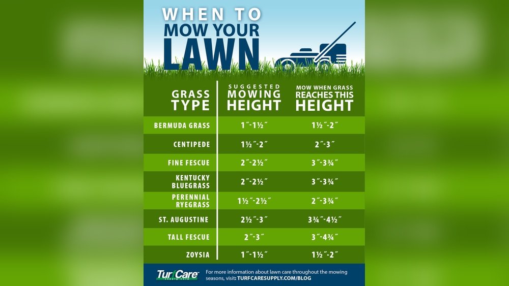 How to Know When to Mow New Grass Tips