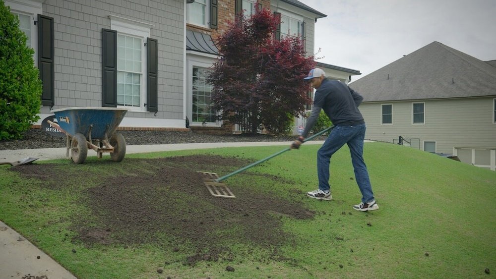 How to Level Bumpy Lawn at Home Guide