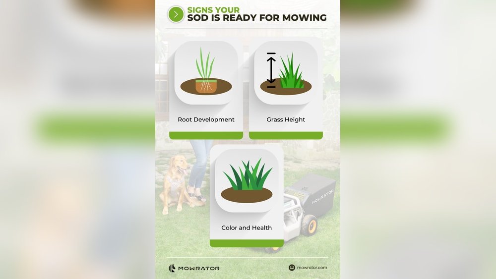 How to Mow New Sod for First Time Tips
