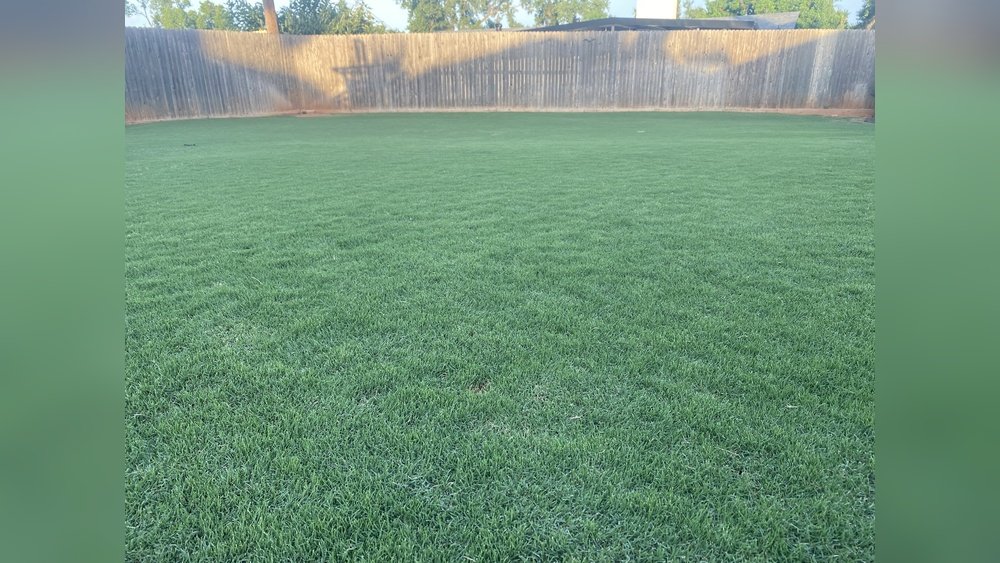 How to Overseed Bermuda Grass in Fall