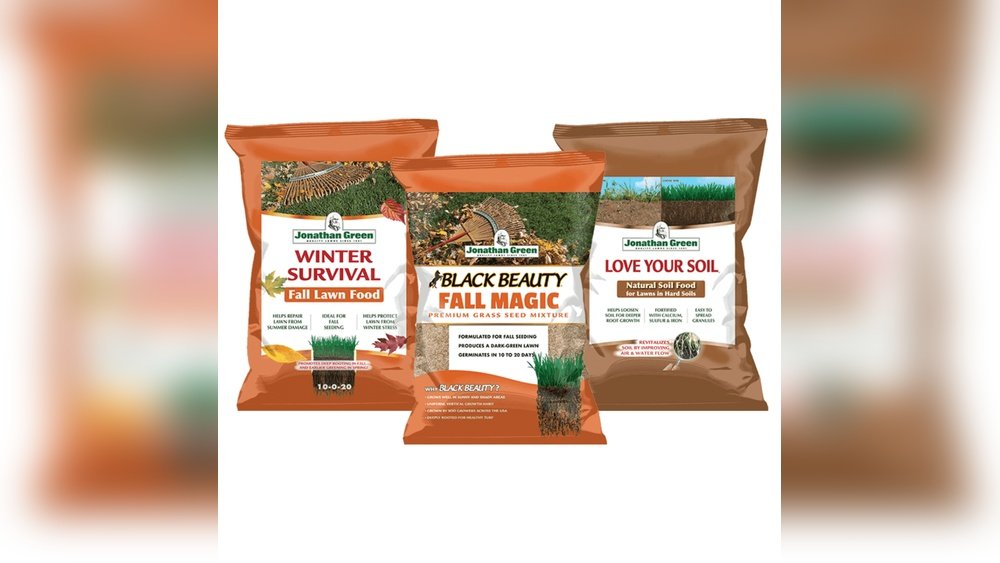 How to Overseed in Fall for Green Lawn