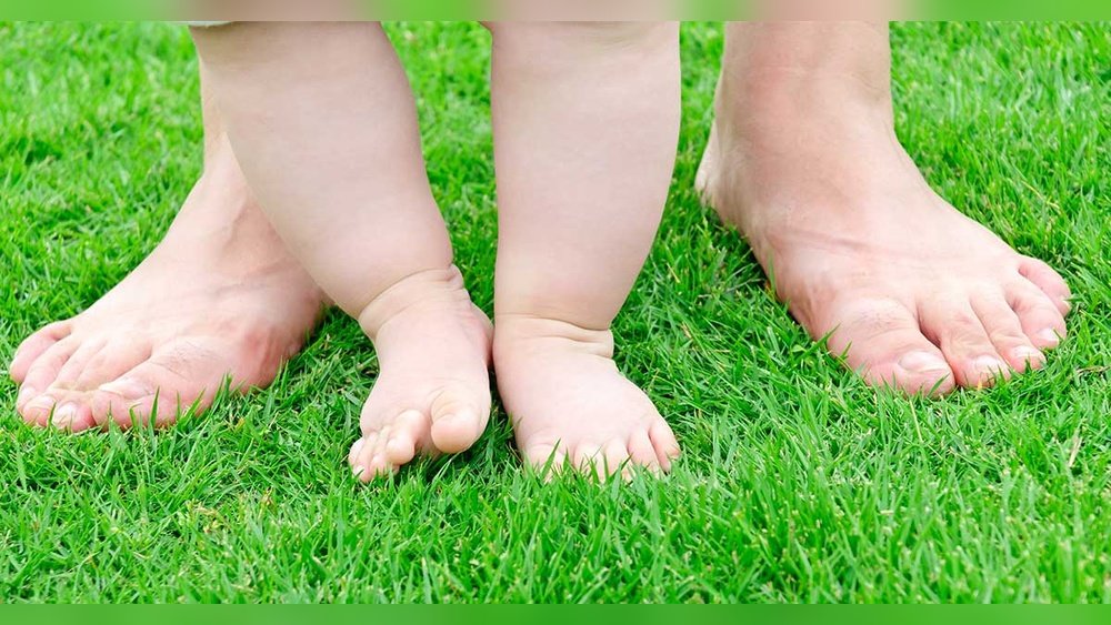 How to Thicken Thin Grass Areas in Lawn