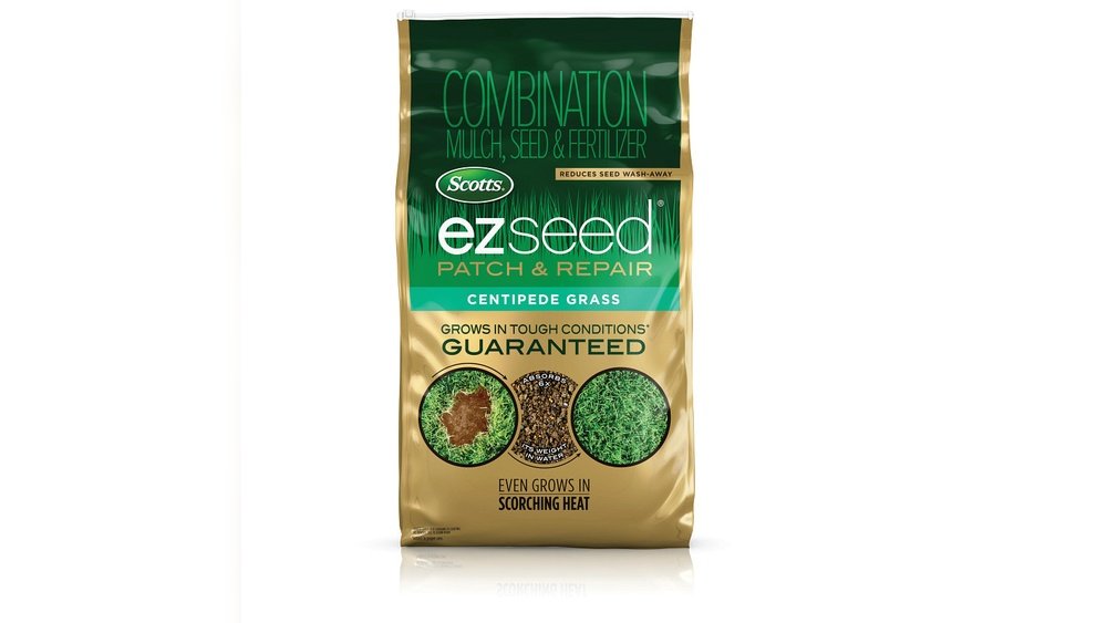 How to Water Grass Seed Without Washing Away