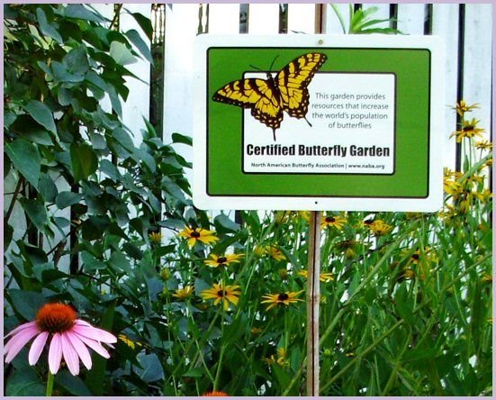 How To Plant A Butterfly Garden