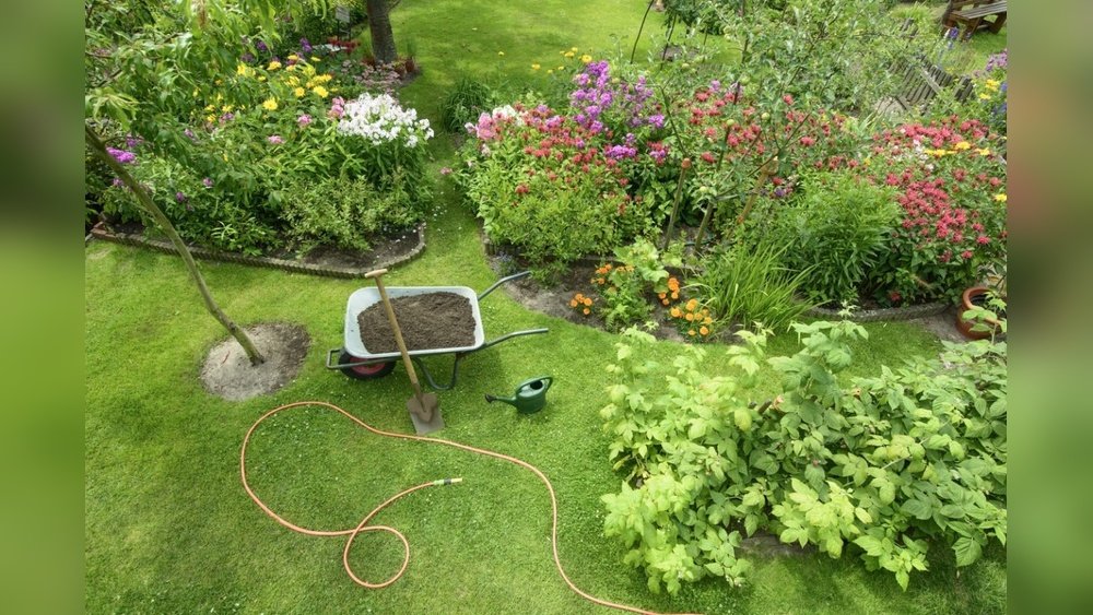 How Many Times a Year Fertilize Lawn Guide