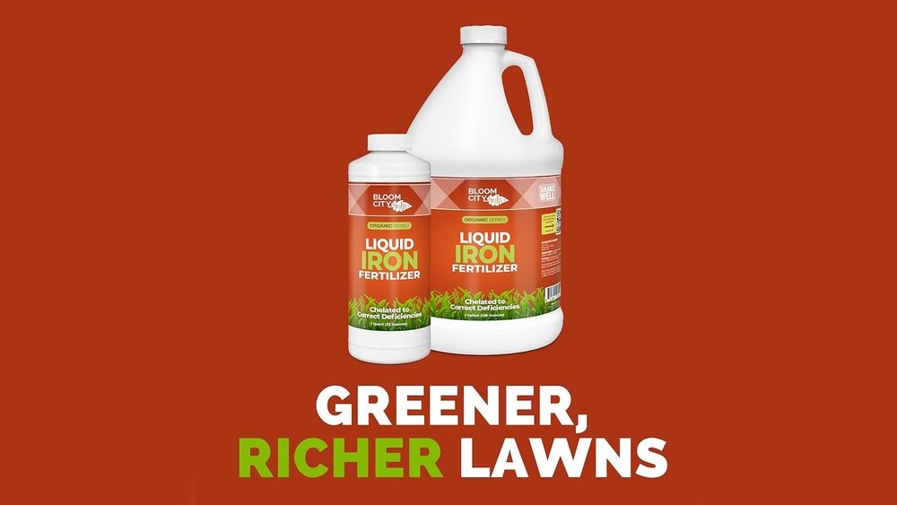 How to Apply Liquid Iron to Lawn Correctly