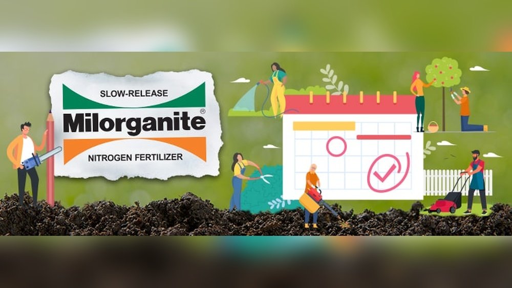 How to Apply Milorganite Correctly Tips