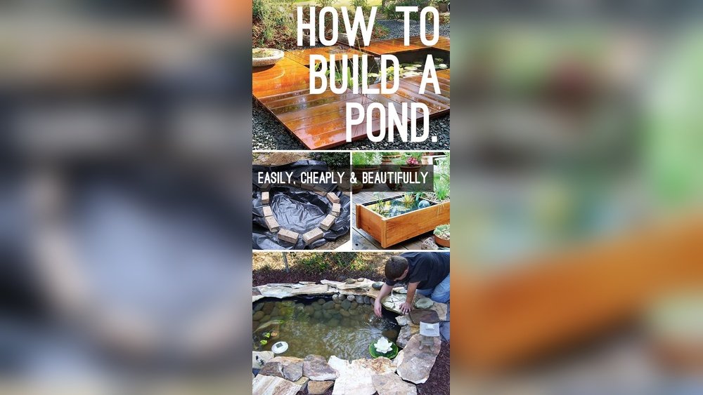 How to Build a Backyard Pond Cheaply
