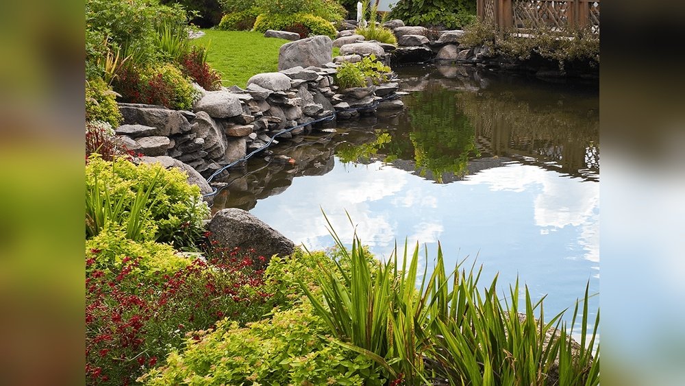 How to Build a Raised Fish Pond Guide