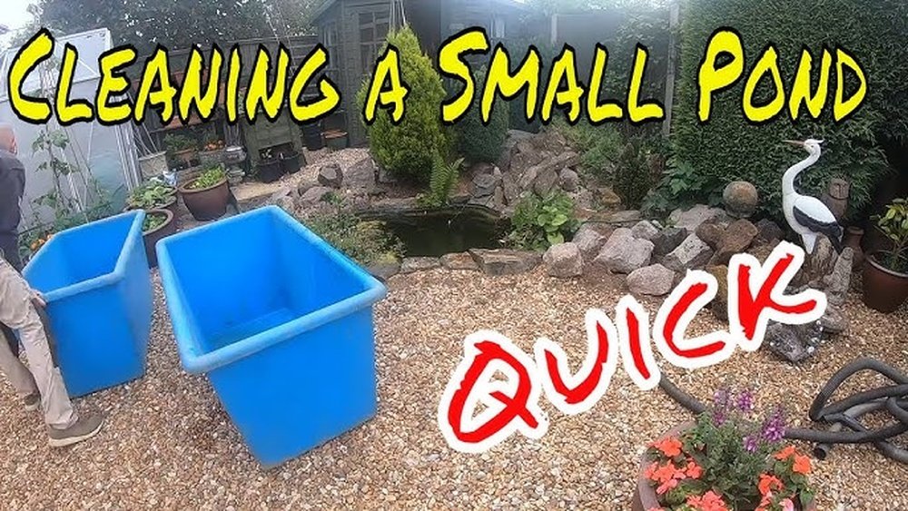 How to Clean a Garden Pond Properly