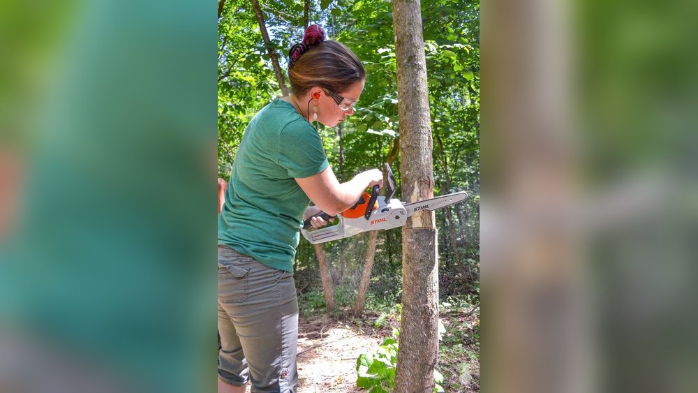 How to Cut down a Small Tree With Chainsaw