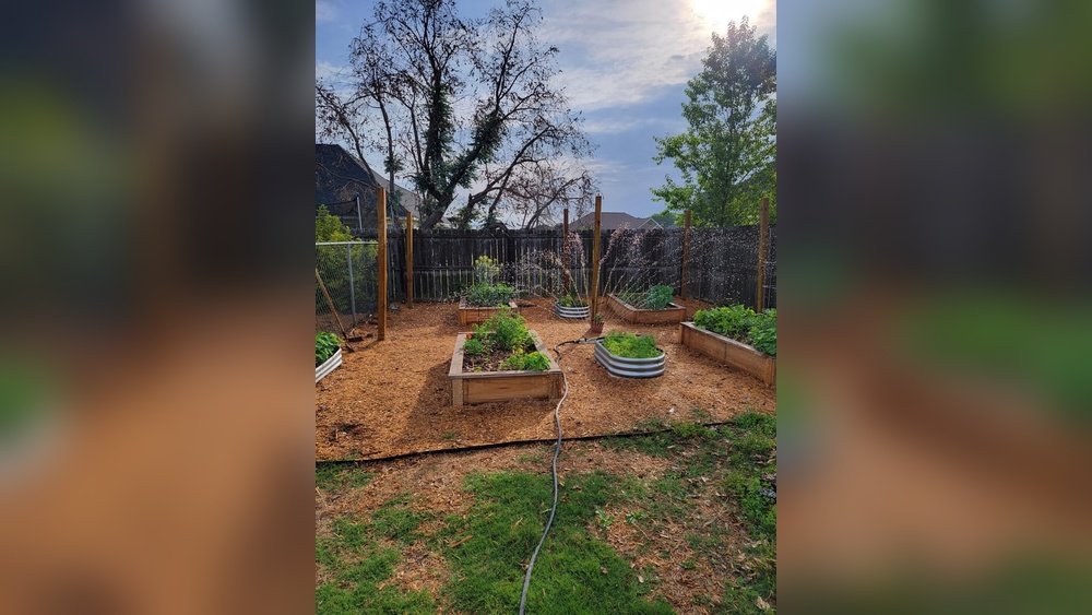 How to Deter Rabbits from Garden Tips