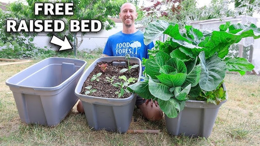 How to Do Container Gardening for Beginners