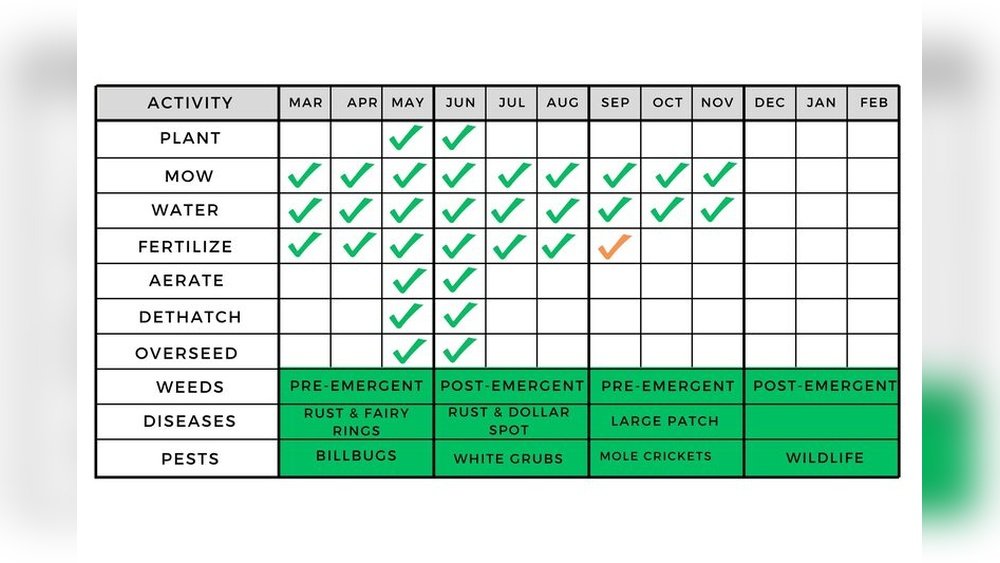 How to Fertilize Zoysia Grass Schedule