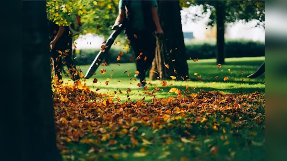 How to Fix Leaf Blower Losing Power Tips