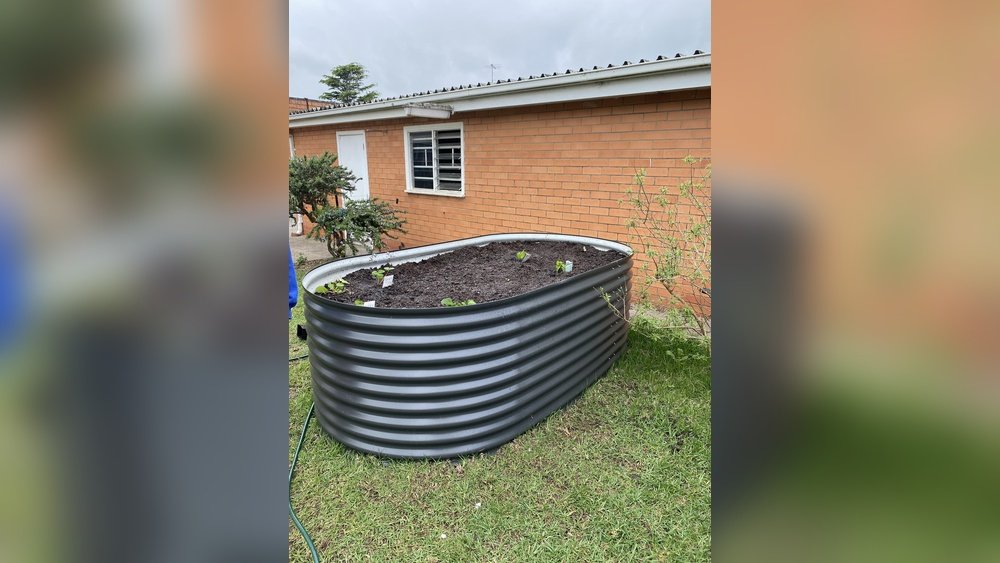 How to Keep Dogs from Digging Garden Tips