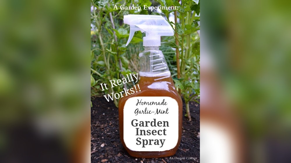 How to Make Homemade Insect Spray Garden