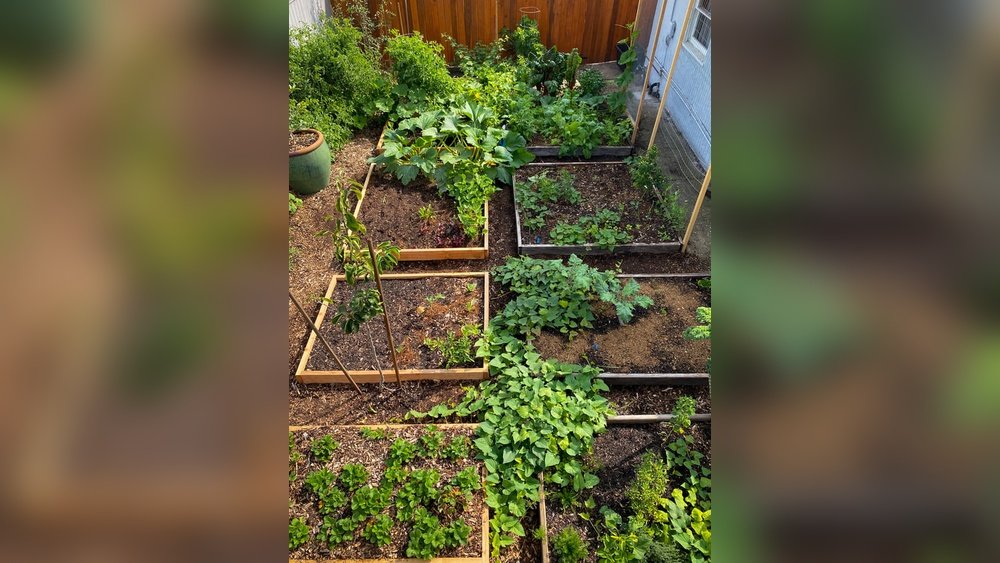 How to Plant Vegetables in Raised Bed Tips
