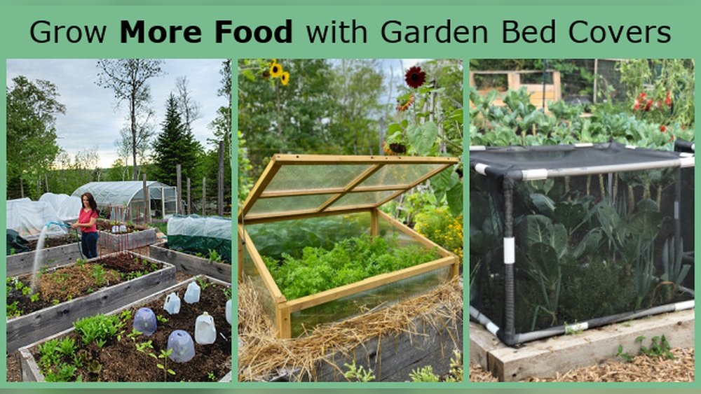 How to Protect Vegetable Garden from Pests