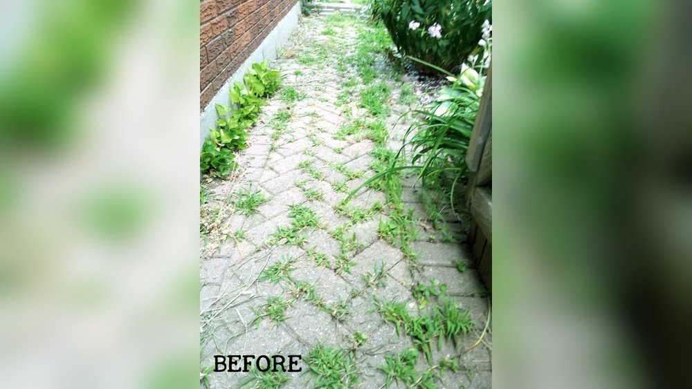 How to Remove Weeds between Patio Pavers