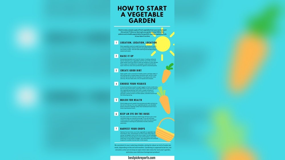 How to Start a Vegetable Garden for Beginners