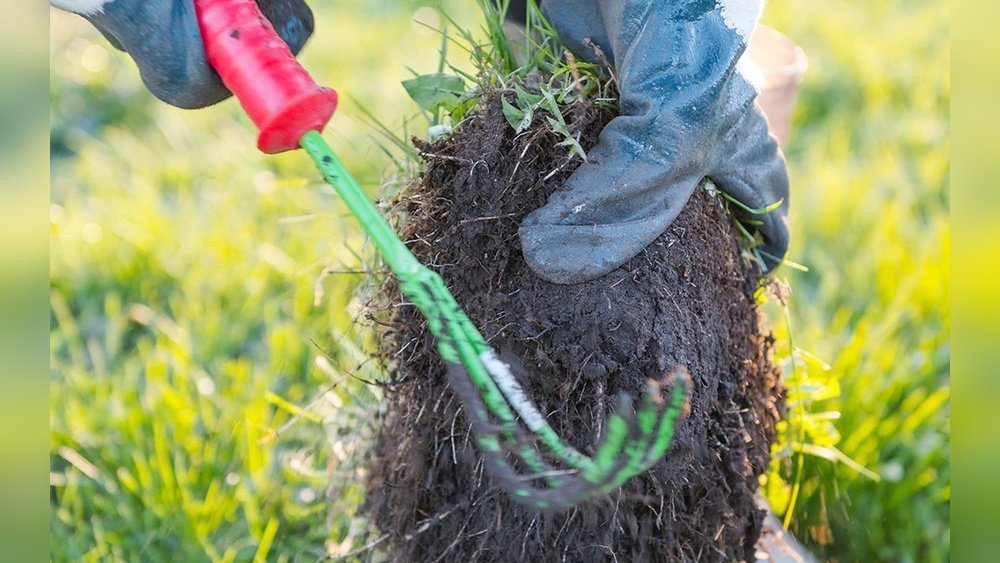 How to Stop Weeds in Lawn Organically