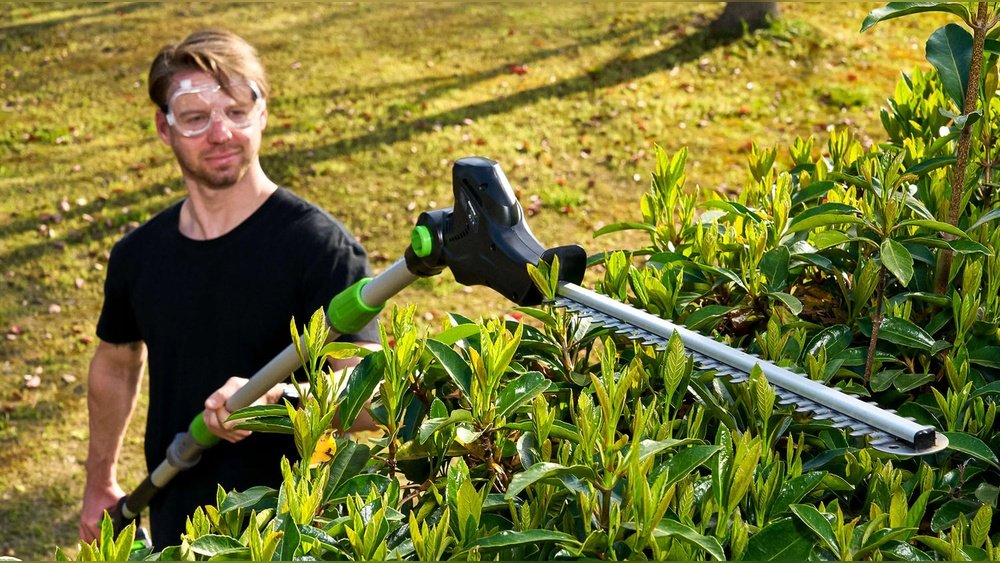 How to Trim Tall Hedges With Pole Trimmer