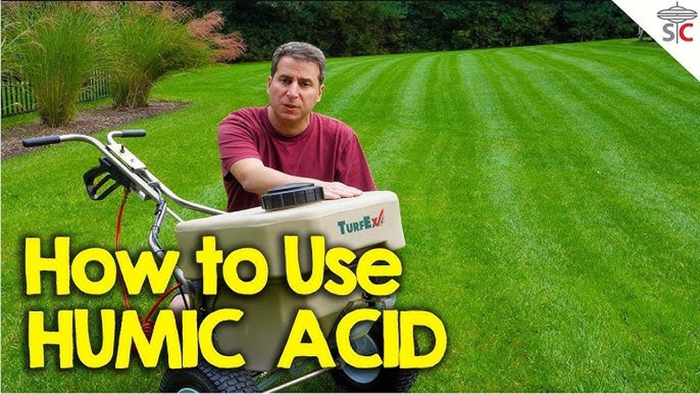 How to Use Humic Acid on Lawn Tips