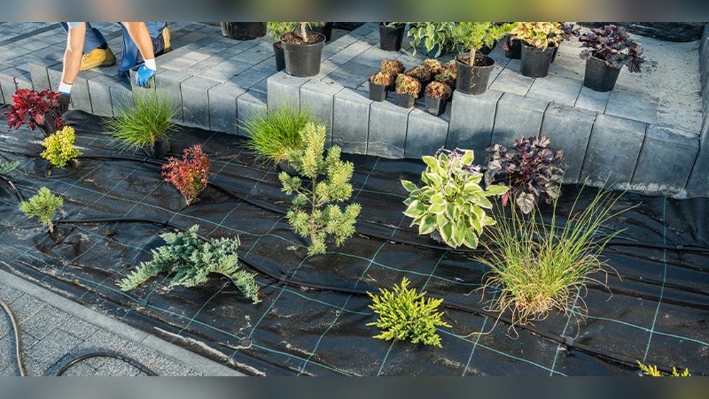 How to Use Landscape Fabric Correctly Tips