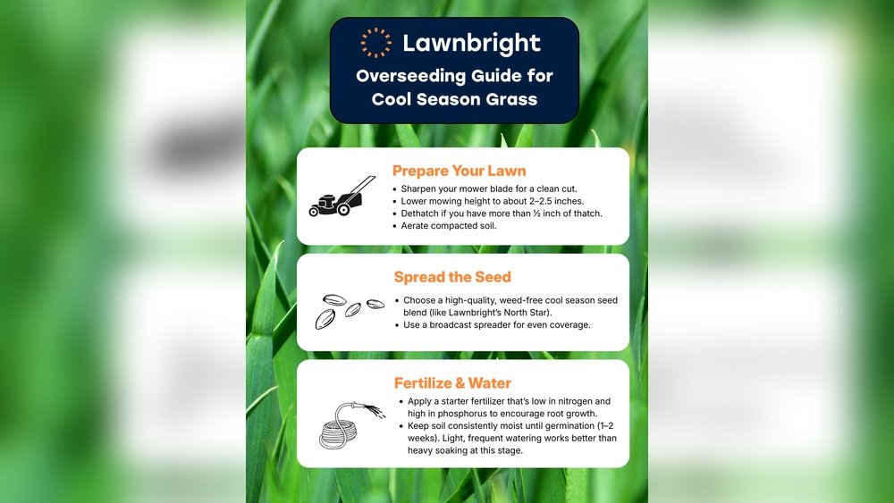 When to Apply Phosphorus to Lawn Guide