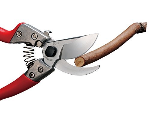 ARS Vs ECHO Pruning Shears
