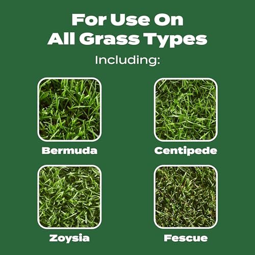 Scotts Vs Miracle-Gro Lawn Fertilizer