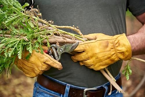Corona Vs ECHO Pruning Shears